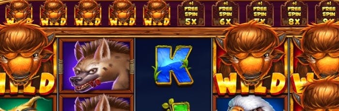 coils of cash slot