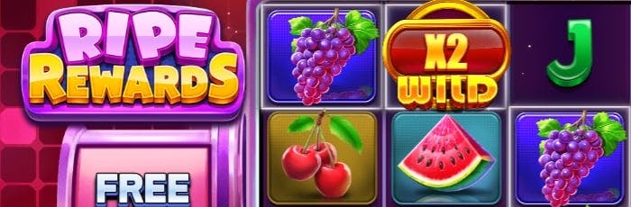cassino 365bet