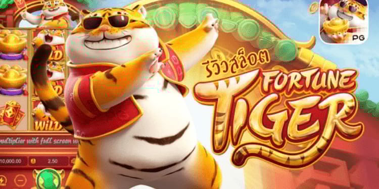 gato slot