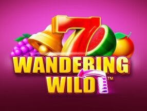 slots 777 winner